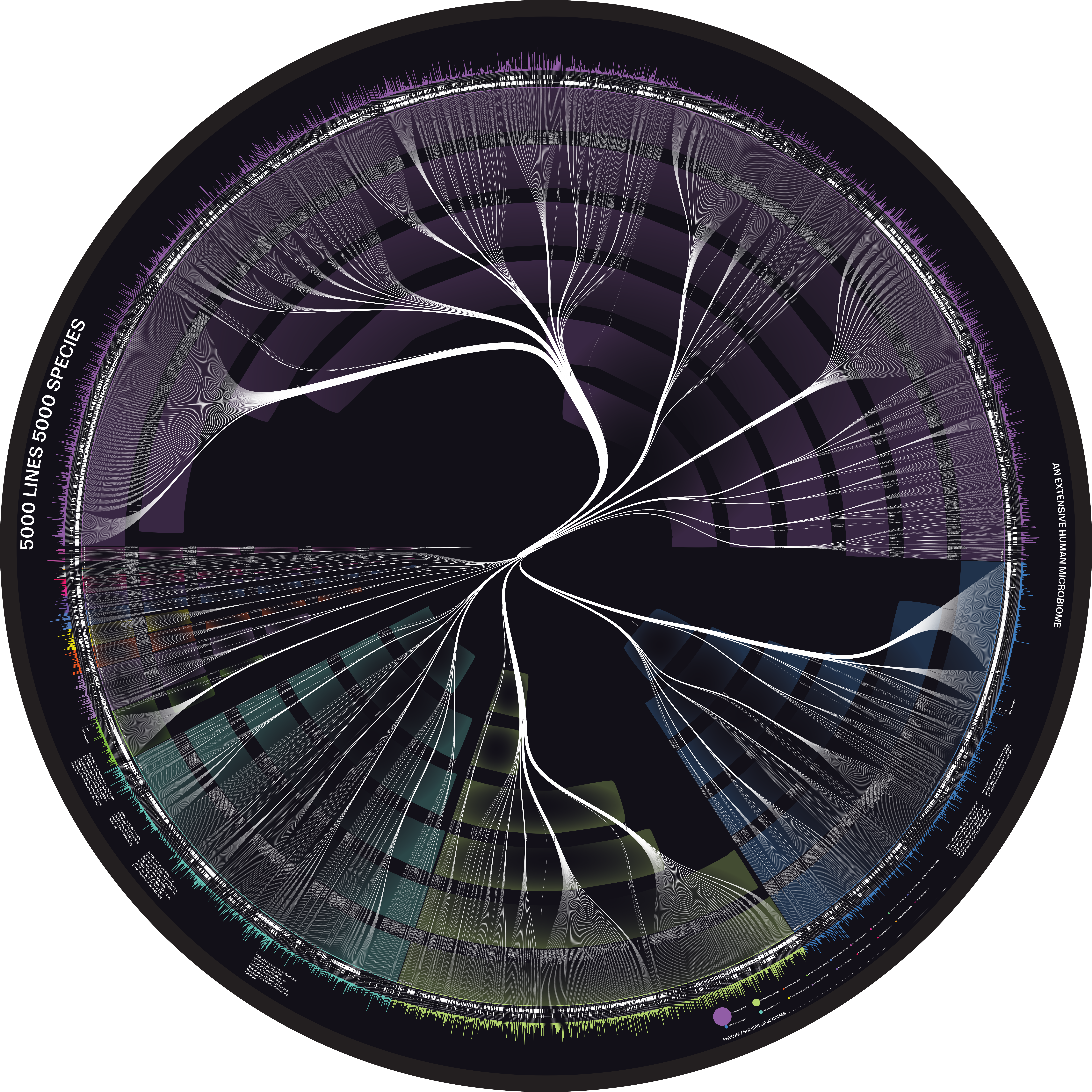 Front of Disk