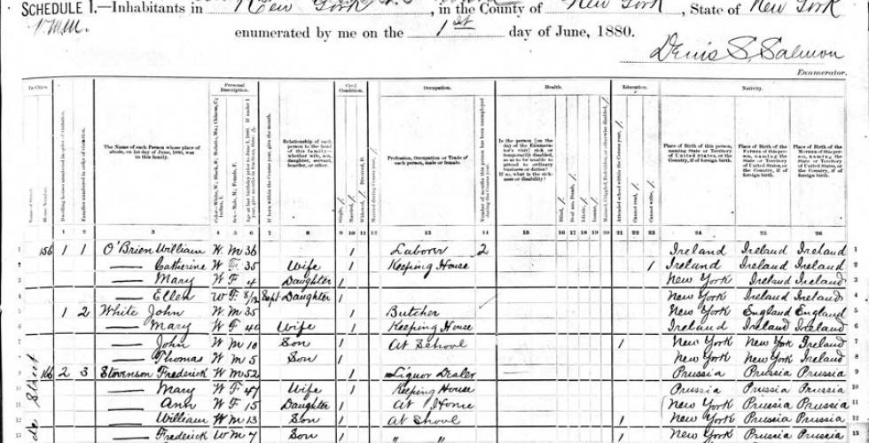 The project will visualize individual records from the 1880 US Census. (Source: Ancestry.com)
