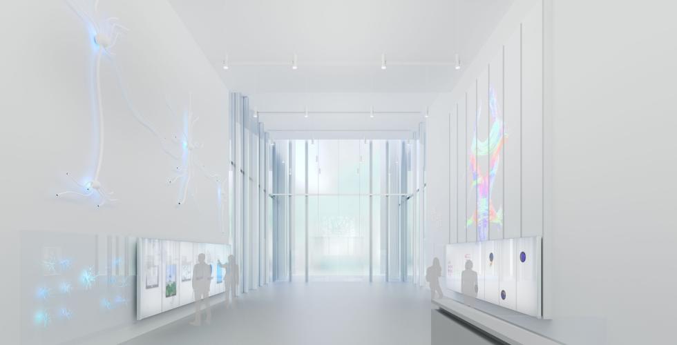 Synapse X New York NY